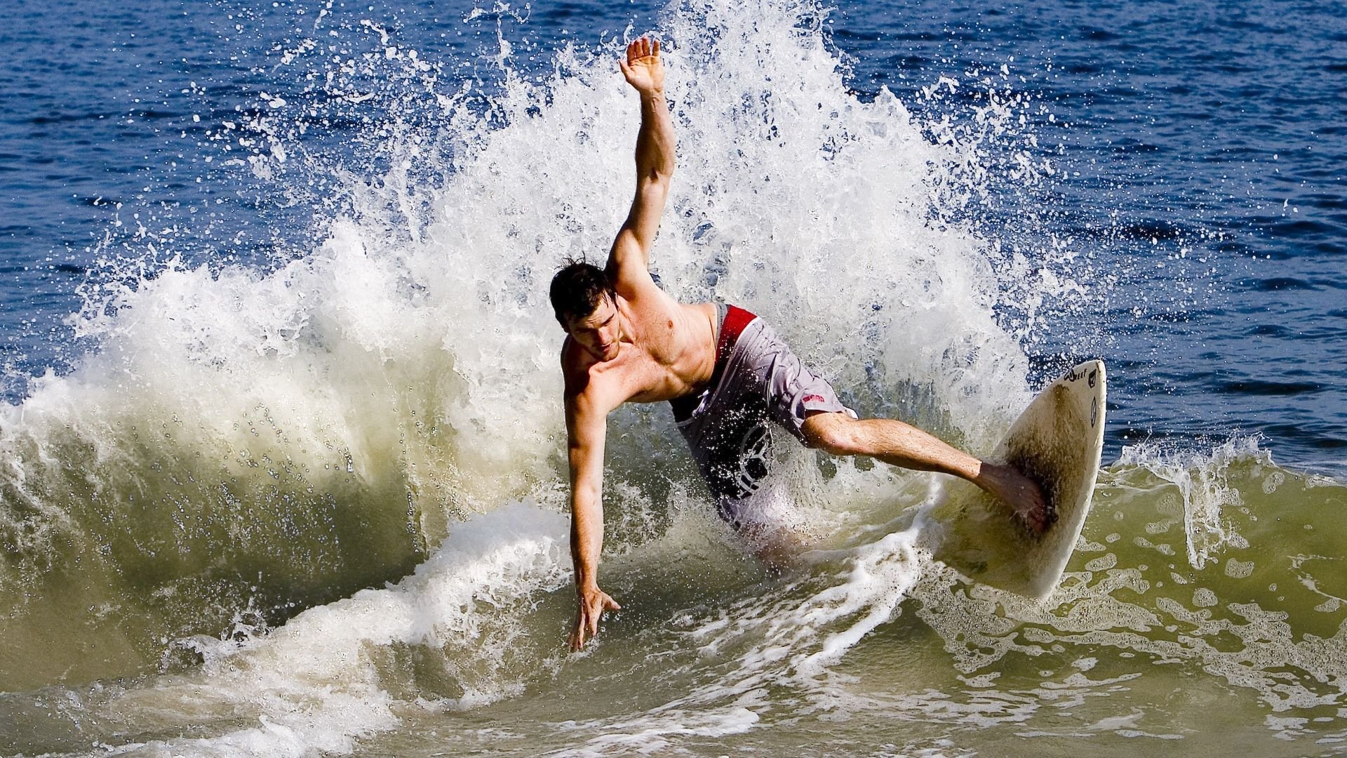 篮球专项体能训练技术创新与应用案例,《篮球体能训练》