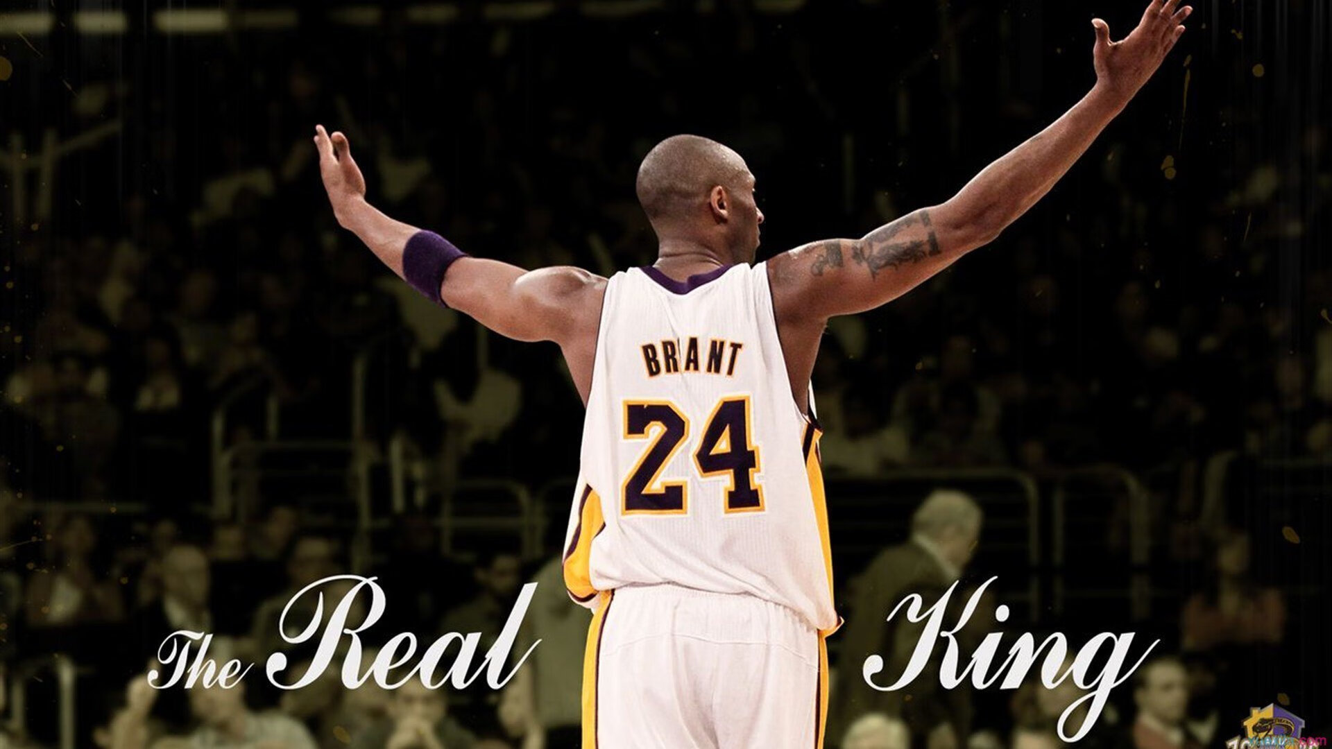 森林狼压制爵士强势表现展现冲冠潜力，森林狼横扫爵士